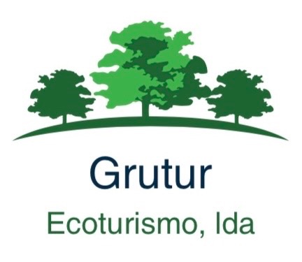 Grutur